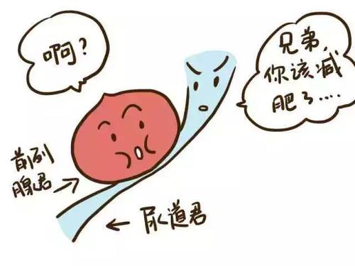 前列腺炎手术,前列腺增生治疗,前列腺增生危害,前列腺增生症状