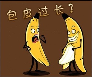 包皮包茎图片,包皮包茎区别,包皮包茎手术,包皮包茎咨询,包皮包茎费用